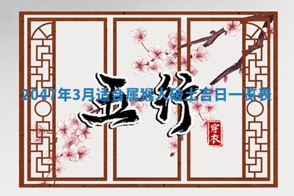八字五行与贾姓：2026年02月02日出生女宝宝的理想名字分析