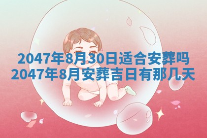 夏姓男宝宝名字精选：2026年02月03日生辰八字起名技巧