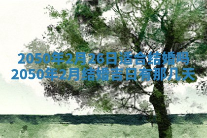 今日农历2025年五月廿六黄历新店开张适合吗,开业吉日
