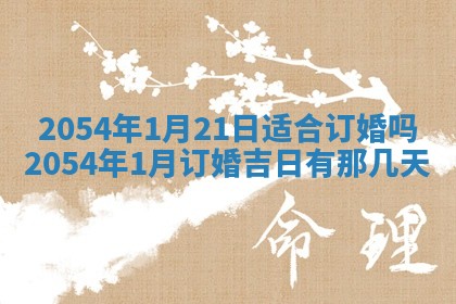 黄历2025年6月27日动土适宜吗