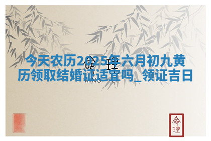今天农历2025年六月初九黄历领取结婚证适宜吗,领证吉日
