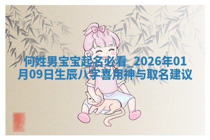 何姓男孩子取名