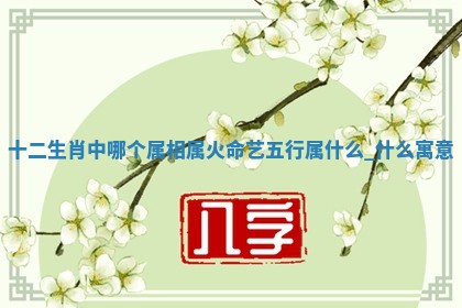 如何给2026年01月18日出生的黎姓男宝宝起个好名字？专业分析与建议