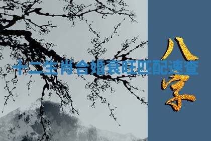 2025年10月20日打牌财神方位,财神方位详解