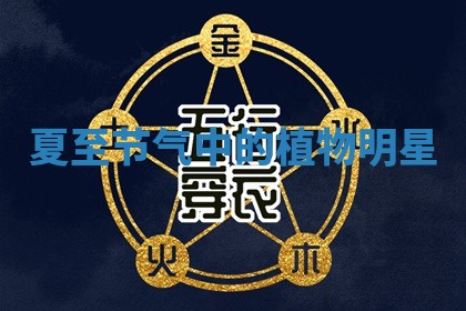 2026年03月01日出生的卢姓男孩子取名指南：吉祥好听的名字推荐