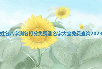 朱姓2026年01月15日出生的男孩子命理分析与起名攻略