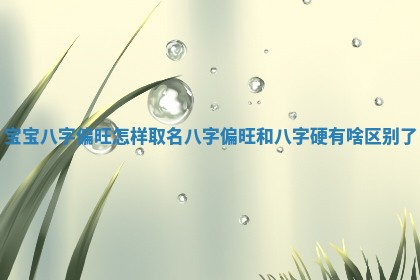 如何给2026年01月18日出生的黎姓男宝宝起个好名字？专业分析与建议