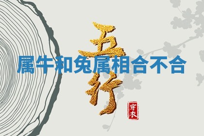 今天2025年6月19日完婚老黄历适合吗,农历2025年五月廿四结婚日子