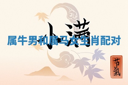 朱姓2026年01月15日出生的男孩子命理分析与起名攻略