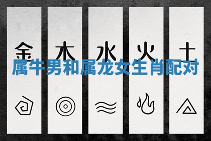 朱姓2026年01月15日出生的男孩子命理分析与起名攻略