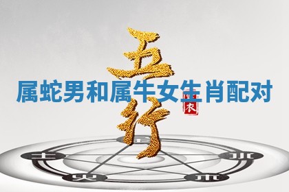 如何给2026年01月18日出生的黎姓男宝宝起个好名字？专业分析与建议