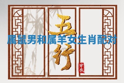朱姓2026年01月15日出生的男孩子命理分析与起名攻略