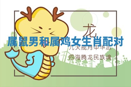 朱姓2026年01月15日出生的男孩子命理分析与起名攻略