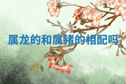 2025年10月20日打牌财神方位,财神方位详解