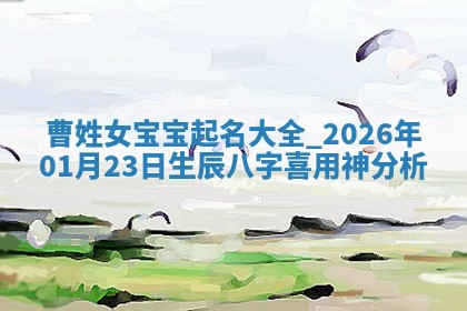 2026年03月01日出生的卢姓男孩子取名指南：吉祥好听的名字推荐