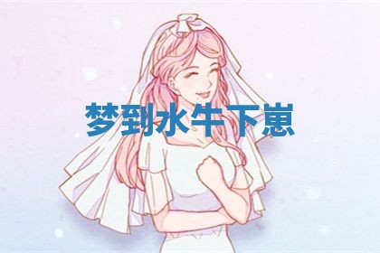 2026年03月01日出生的卢姓男孩子取名指南：吉祥好听的名字推荐
