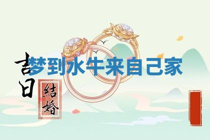 朱姓2026年01月15日出生的男孩子命理分析与起名攻略
