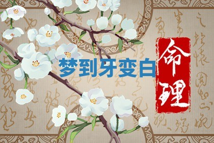 2026年03月01日出生的卢姓男孩子取名指南：吉祥好听的名字推荐
