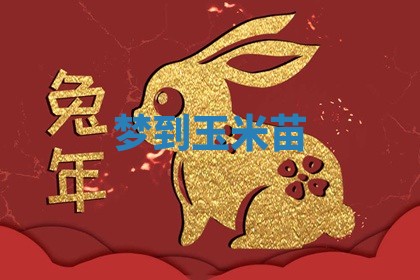 朱姓2026年01月15日出生的男孩子命理分析与起名攻略