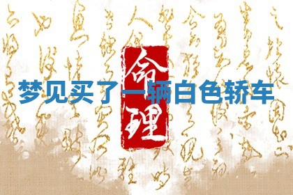 2026年03月01日出生的卢姓男孩子取名指南：吉祥好听的名字推荐