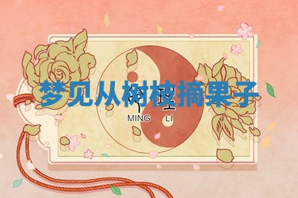 朱姓2026年01月15日出生的男孩子命理分析与起名攻略