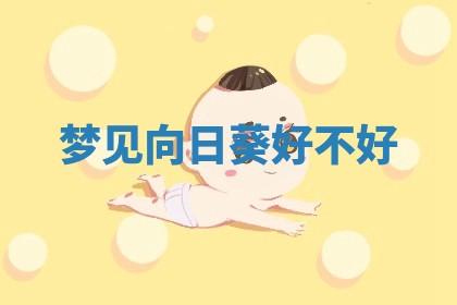 朱姓2026年01月15日出生的男孩子命理分析与起名攻略