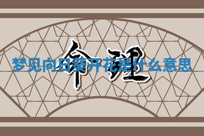 朱姓2026年01月15日出生的男孩子命理分析与起名攻略