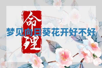 2026年03月01日出生的卢姓男孩子取名指南：吉祥好听的名字推荐