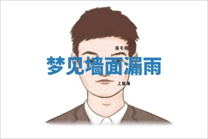 朱姓2026年01月15日出生的男孩子命理分析与起名攻略