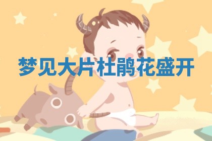 2026年03月01日出生的卢姓男孩子取名指南：吉祥好听的名字推荐