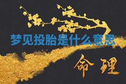 朱姓2026年01月15日出生的男孩子命理分析与起名攻略