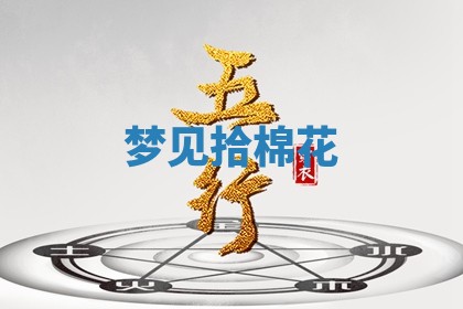 2026年03月01日出生的卢姓男孩子取名指南：吉祥好听的名字推荐