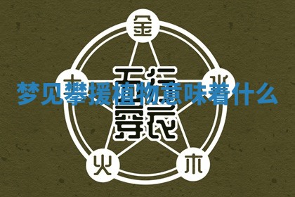 2026年03月01日出生的卢姓男孩子取名指南：吉祥好听的名字推荐