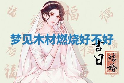 2026年03月01日出生的卢姓男孩子取名指南：吉祥好听的名字推荐