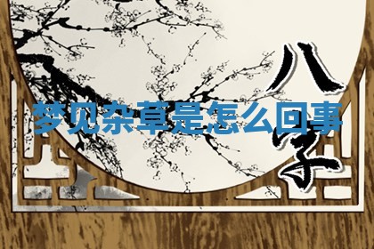 如何给2026年01月18日出生的黎姓男宝宝起个好名字？专业分析与建议