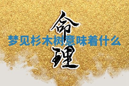 2026年03月01日出生的卢姓男孩子取名指南：吉祥好听的名字推荐