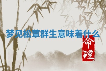 2026年03月01日出生的卢姓男孩子取名指南：吉祥好听的名字推荐