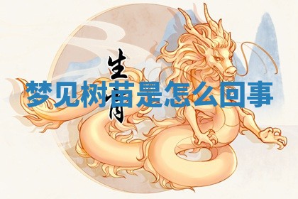 2026年03月01日出生的卢姓男孩子取名指南：吉祥好听的名字推荐