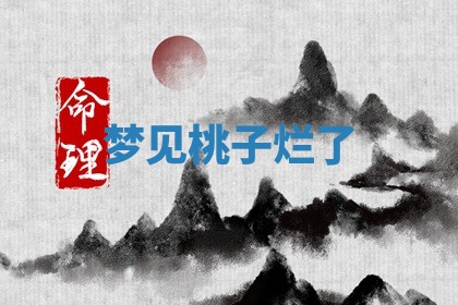 如何给2026年01月18日出生的黎姓男宝宝起个好名字？专业分析与建议