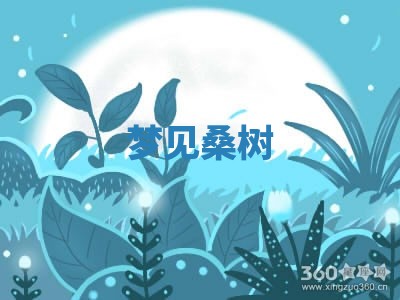 朱姓2026年01月15日出生的男孩子命理分析与起名攻略