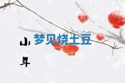 朱姓2026年01月15日出生的男孩子命理分析与起名攻略