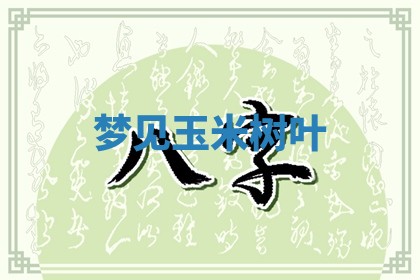 朱姓2026年01月15日出生的男孩子命理分析与起名攻略