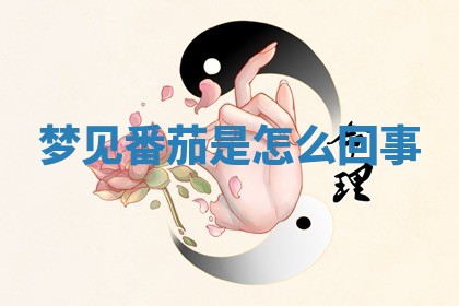 朱姓2026年01月15日出生的男孩子命理分析与起名攻略