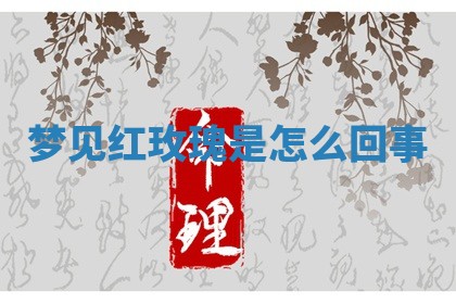 2026年03月01日出生的卢姓男孩子取名指南：吉祥好听的名字推荐