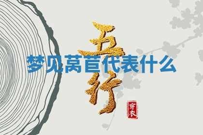 2026年03月01日出生的卢姓男孩子取名指南：吉祥好听的名字推荐