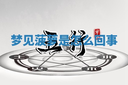 2026年03月01日出生的卢姓男孩子取名指南：吉祥好听的名字推荐