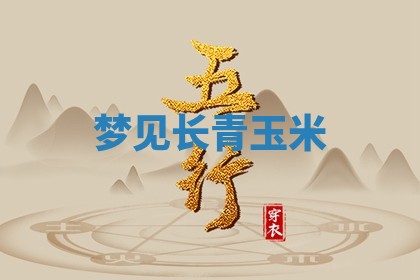 2026年03月01日出生的卢姓男孩子取名指南：吉祥好听的名字推荐
