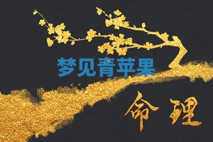 朱姓2026年01月15日出生的男孩子命理分析与起名攻略