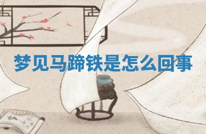 2026年03月01日出生的卢姓男孩子取名指南：吉祥好听的名字推荐