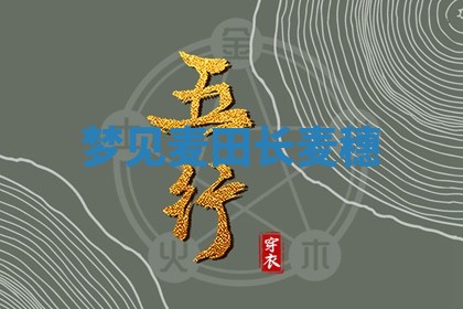 2026年03月01日出生的卢姓男孩子取名指南：吉祥好听的名字推荐